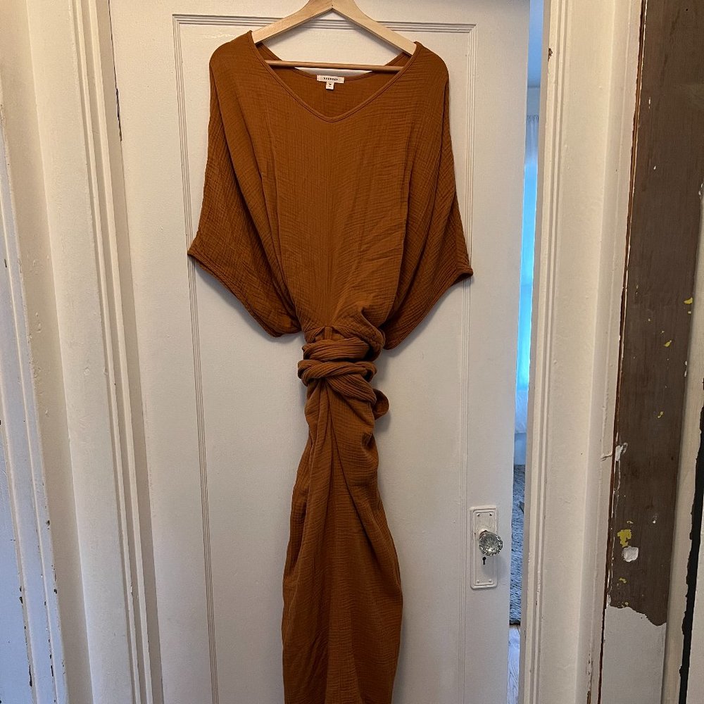 Suunday Dolman Dress in Meerkat